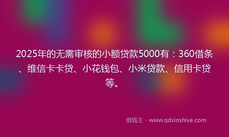 2025年的无需审核的小额贷款5000有：360借条、维信卡卡贷、小花钱包、小米贷款、信用卡贷等。