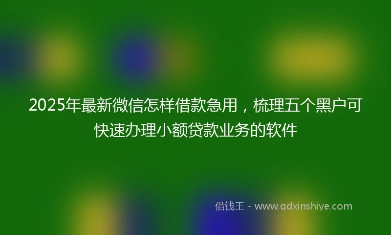 2025年最新微信怎样借款急用，梳理五个黑户可快速办理小额贷款业务的软件