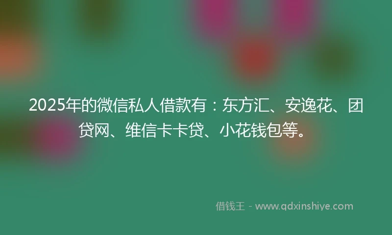 2025年的微信私人借款有：东方汇、安逸花、团贷网、维信卡卡贷、小花钱包等。