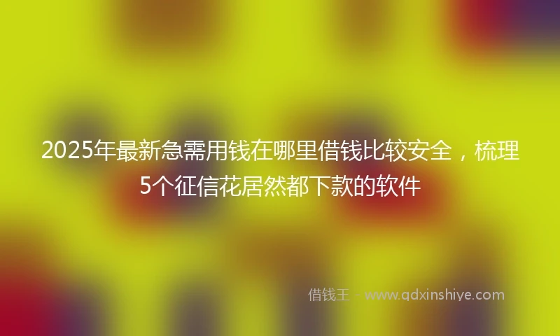 2025年最新急需用钱在哪里借钱比较安全，梳理5个征信花居然都下款的软件
