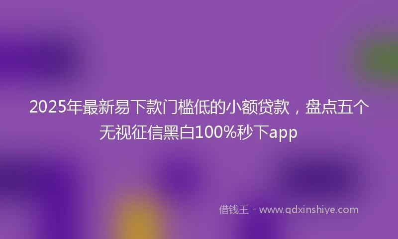 2025年最新易下款门槛低的小额贷款，盘点五个无视征信黑白100%秒下app