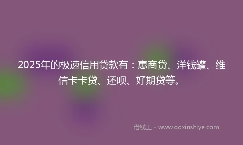 2025年的极速信用贷款有：惠商贷、洋钱罐、维信卡卡贷、还呗、好期贷等。
