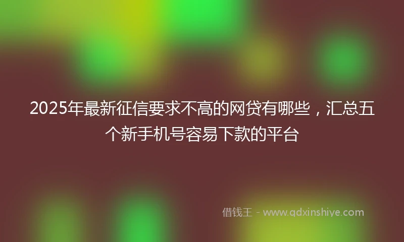 2025年最新征信要求不高的网贷有哪些，汇总五个新手机号容易下款的平台