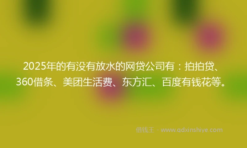 2025年的有没有放水的网贷公司有：拍拍贷、360借条、美团生活费、东方汇、百度有钱花等。
