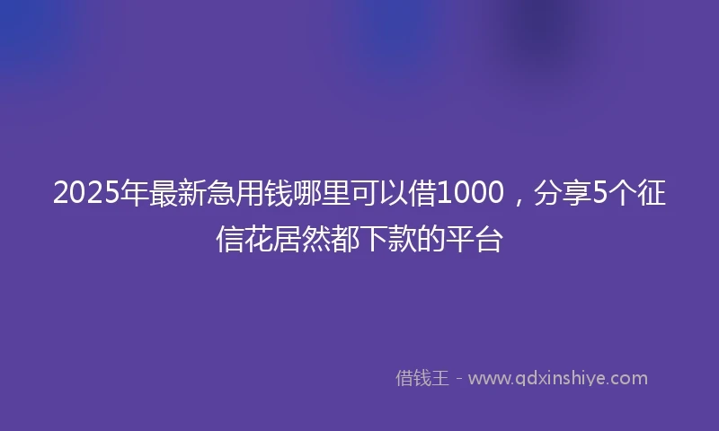 2025年最新急用钱哪里可以借1000，分享5个征信花居然都下款的平台