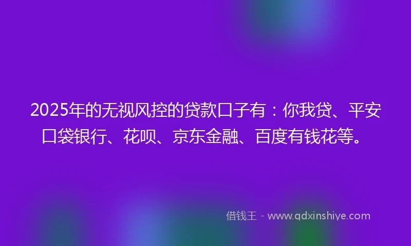 2025年的无视风控的贷款口子有：你我贷、平安口袋银行、花呗、京东金融、百度有钱花等。
