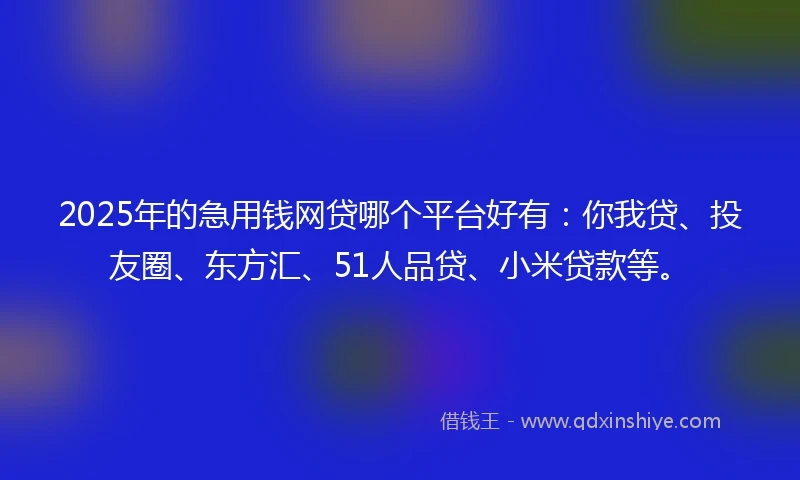 2025年的急用钱网贷哪个平台好有：你我贷、投友圈、东方汇、51人品贷、小米贷款等。