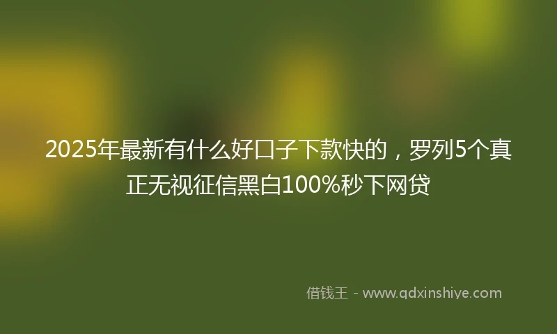 2025年最新有什么好口子下款快的，罗列5个真正无视征信黑白100%秒下网贷