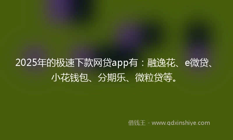 2025年的极速下款网贷app有：融逸花、e微贷、小花钱包、分期乐、微粒贷等。