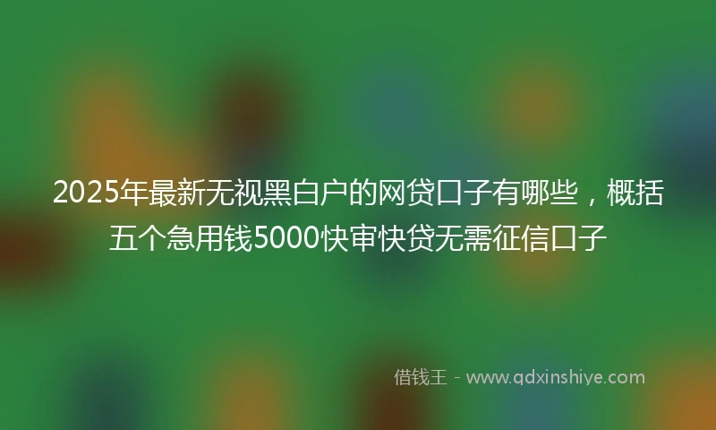 2025年最新无视黑白户的网贷口子有哪些，概括五个急用钱5000快审快贷无需征信口子