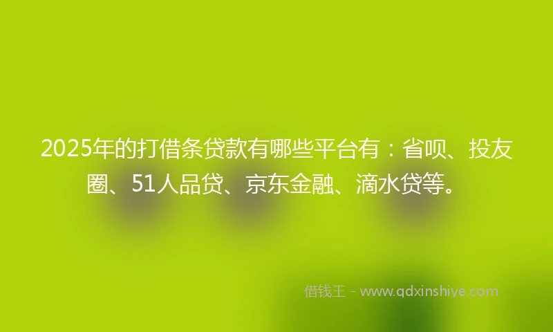 2025年的打借条贷款有哪些平台有：省呗、投友圈、51人品贷、京东金融、滴水贷等。
