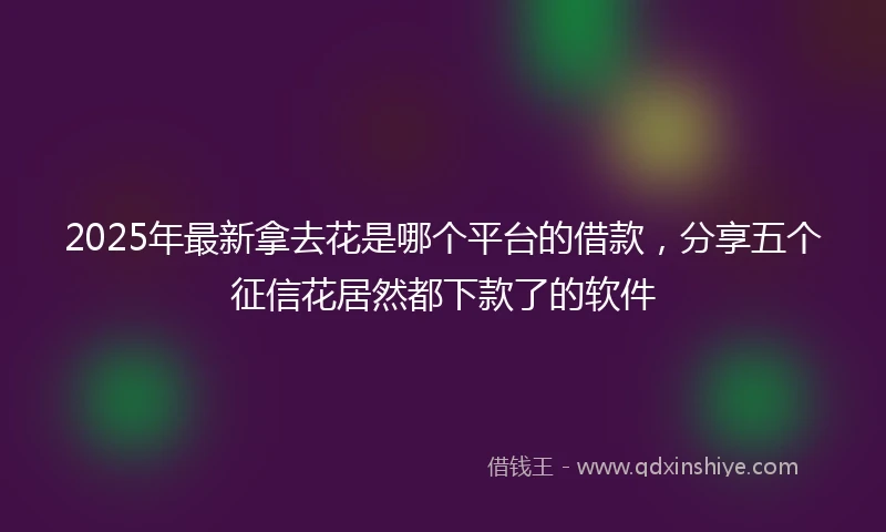 2025年最新拿去花是哪个平台的借款，分享五个征信花居然都下款了的软件