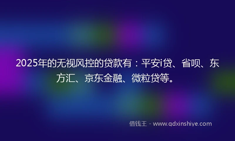 2025年的无视风控的贷款有：平安i贷、省呗、东方汇、京东金融、微粒贷等。