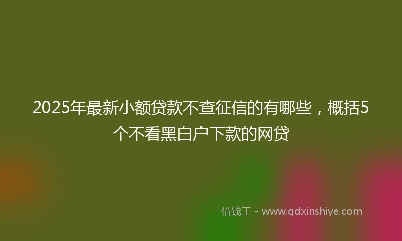 2025年最新小额贷款不查征信的有哪些，概括5个不看黑白户下款的网贷