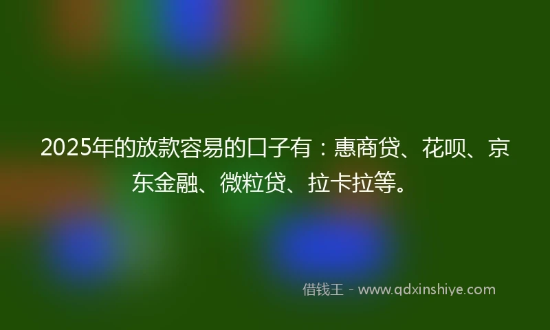 2025年的放款容易的口子有：惠商贷、花呗、京东金融、微粒贷、拉卡拉等。