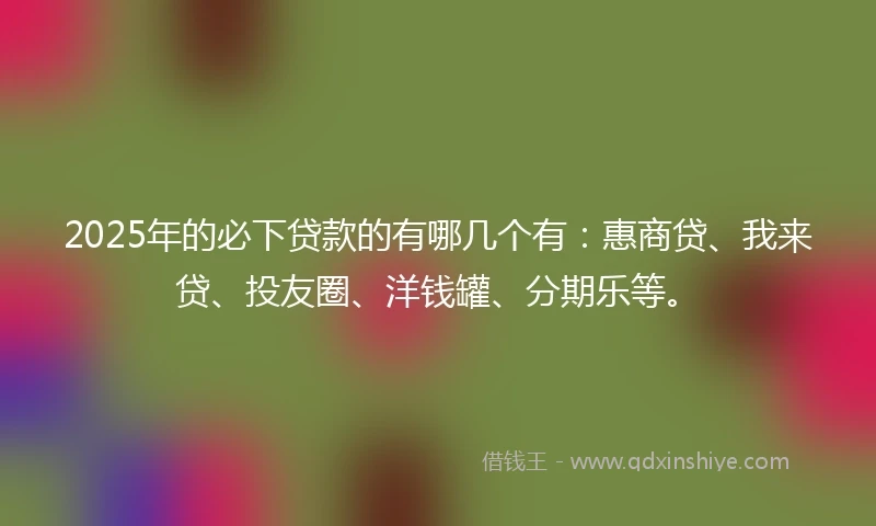 2025年的必下贷款的有哪几个有：惠商贷、我来贷、投友圈、洋钱罐、分期乐等。
