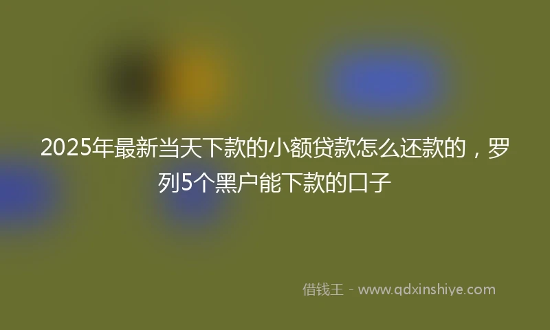 2025年最新当天下款的小额贷款怎么还款的，罗列5个黑户能下款的口子