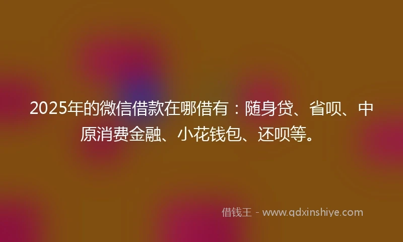 2025年的微信借款在哪借有：随身贷、省呗、中原消费金融、小花钱包、还呗等。