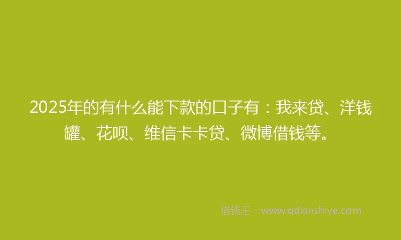2025年的有什么能下款的口子有：我来贷、洋钱罐、花呗、维信卡卡贷、微博借钱等。