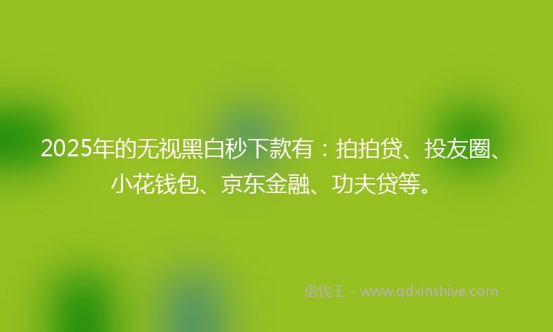 2025年的无视黑白秒下款有：拍拍贷、投友圈、小花钱包、京东金融、功夫贷等。