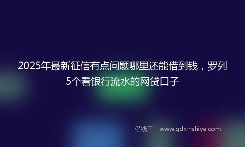 2025年最新征信有点问题哪里还能借到钱，罗列5个看银行流水的网贷口子