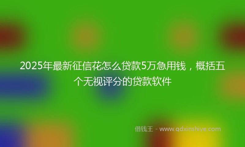 2025年最新征信花怎么贷款5万急用钱，概括五个无视评分的贷款软件