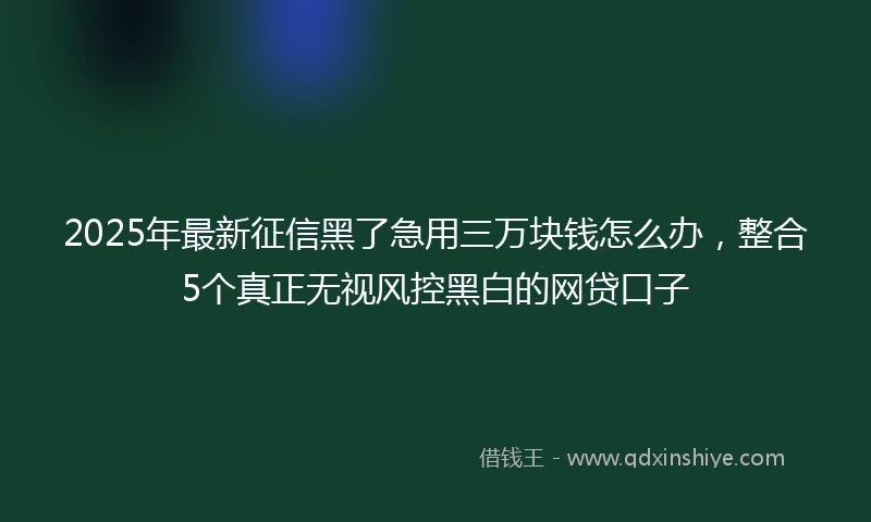 2025年最新征信黑了急用三万块钱怎么办，整合5个真正无视风控黑白的网贷口子