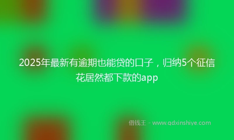 2025年最新有逾期也能贷的口子，归纳5个征信花居然都下款的app