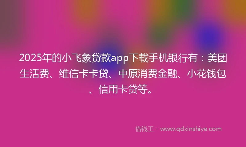 2025年的小飞象贷款app下载手机银行有：美团生活费、维信卡卡贷、中原消费金融、小花钱包、信用卡贷等。