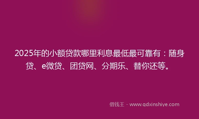 2025年的小额贷款哪里利息最低最可靠有：随身贷、e微贷、团贷网、分期乐、替你还等。