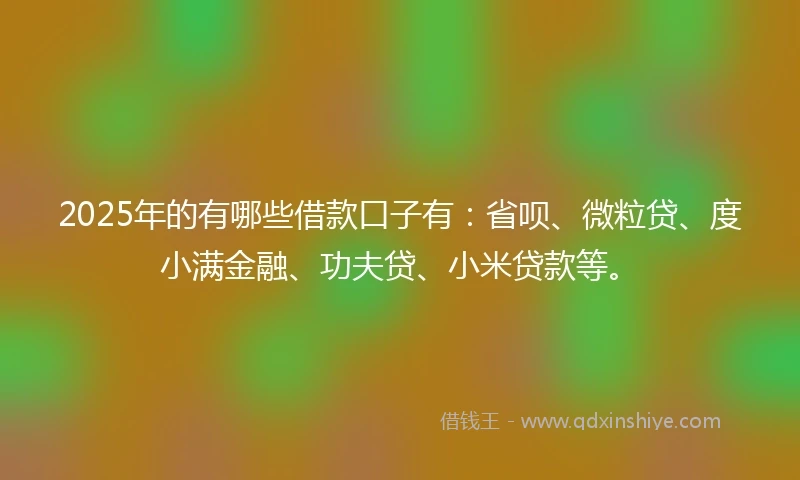 2025年的有哪些借款口子有：省呗、微粒贷、度小满金融、功夫贷、小米贷款等。