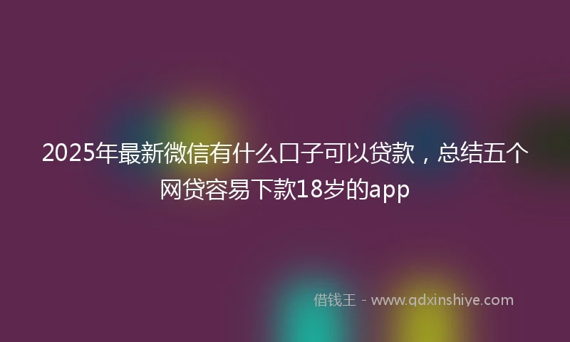 2025年最新微信有什么口子可以贷款，总结五个网贷容易下款18岁的app