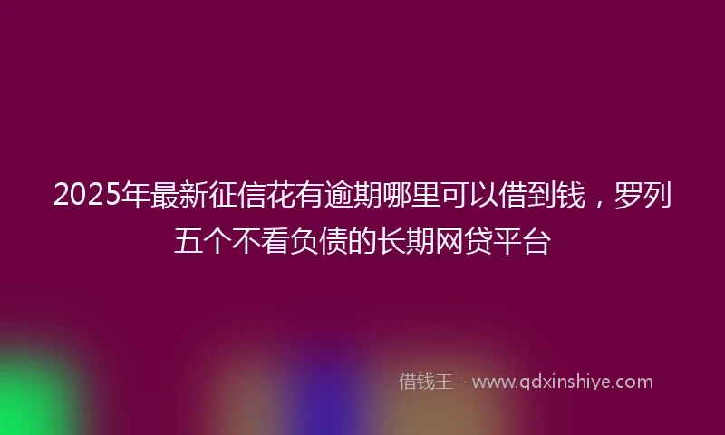 2025年最新征信花有逾期哪里可以借到钱，罗列五个不看负债的长期网贷平台