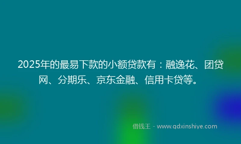 2025年的最易下款的小额贷款有：融逸花、团贷网、分期乐、京东金融、信用卡贷等。