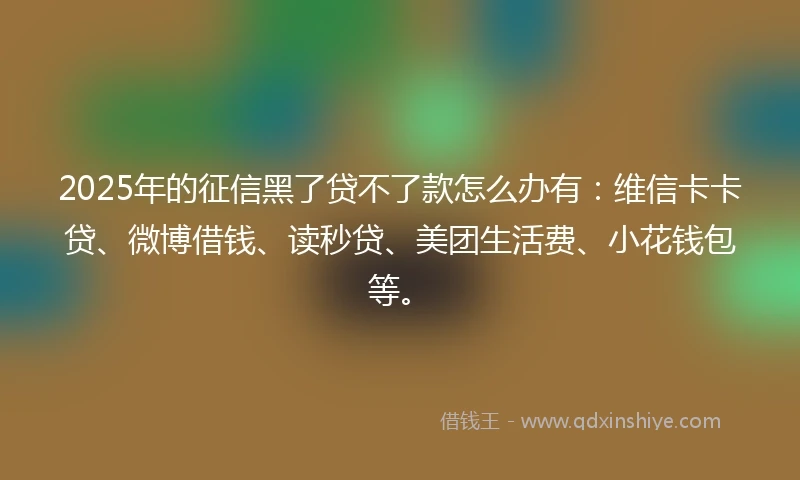 2025年的征信黑了贷不了款怎么办有：维信卡卡贷、微博借钱、读秒贷、美团生活费、小花钱包等。