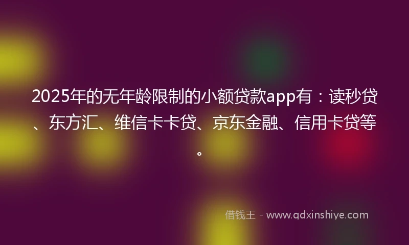 2025年的无年龄限制的小额贷款app有：读秒贷、东方汇、维信卡卡贷、京东金融、信用卡贷等。