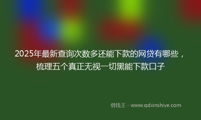 2025年最新查询次数多还能下款的网贷有哪些，梳理五个真正无视一切黑能下款口子