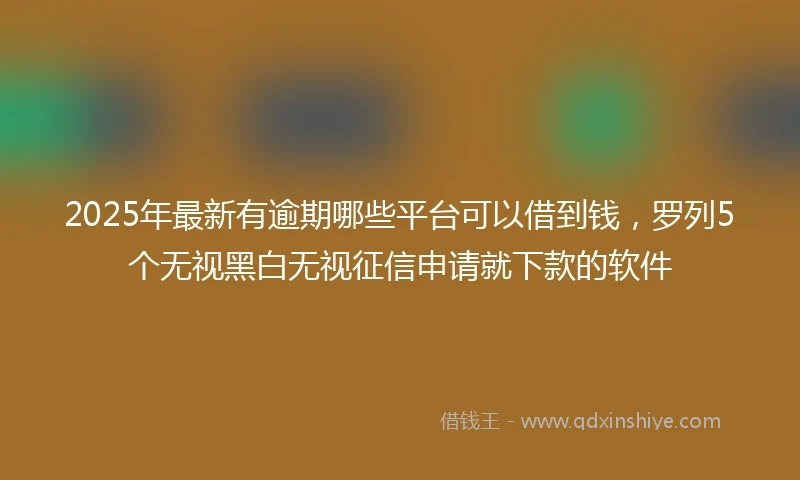 2025年最新有逾期哪些平台可以借到钱，罗列5个无视黑白无视征信申请就下款的软件