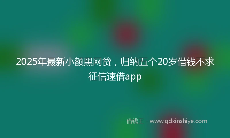 2025年最新小额黑网贷，归纳五个20岁借钱不求征信速借app