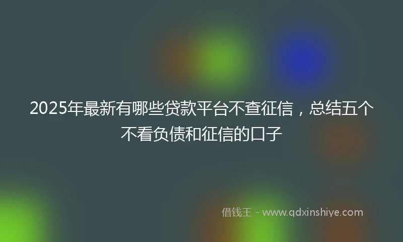2025年最新有哪些贷款平台不查征信，总结五个不看负债和征信的口子