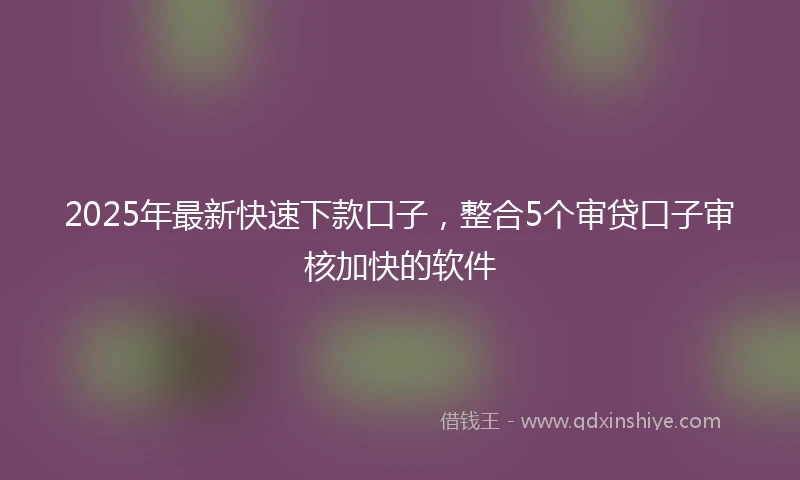2025年最新快速下款口子，整合5个审贷口子审核加快的软件
