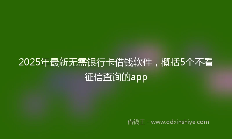 2025年最新无需银行卡借钱软件，概括5个不看征信查询的app