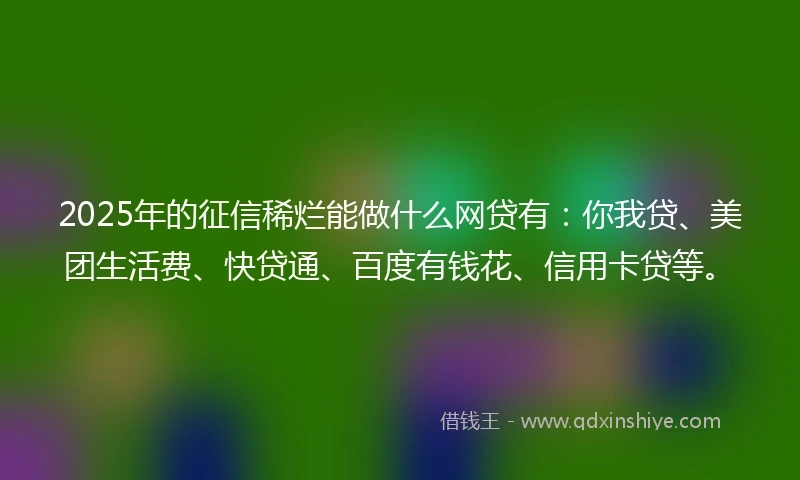 2025年的征信稀烂能做什么网贷有：你我贷、美团生活费、快贷通、百度有钱花、信用卡贷等。