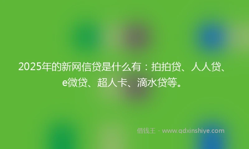 2025年的新网信贷是什么有：拍拍贷、人人贷、e微贷、超人卡、滴水贷等。