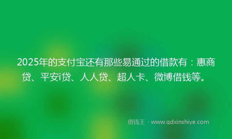 2025年的支付宝还有那些易通过的借款有：惠商贷、平安i贷、人人贷、超人卡、微博借钱等。
