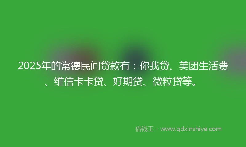 2025年的常德民间贷款有：你我贷、美团生活费、维信卡卡贷、好期贷、微粒贷等。