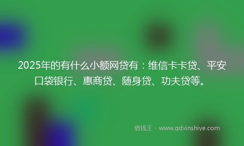 2025年的有什么小额网贷有：维信卡卡贷、平安口袋银行、惠商贷、随身贷、功夫贷等。