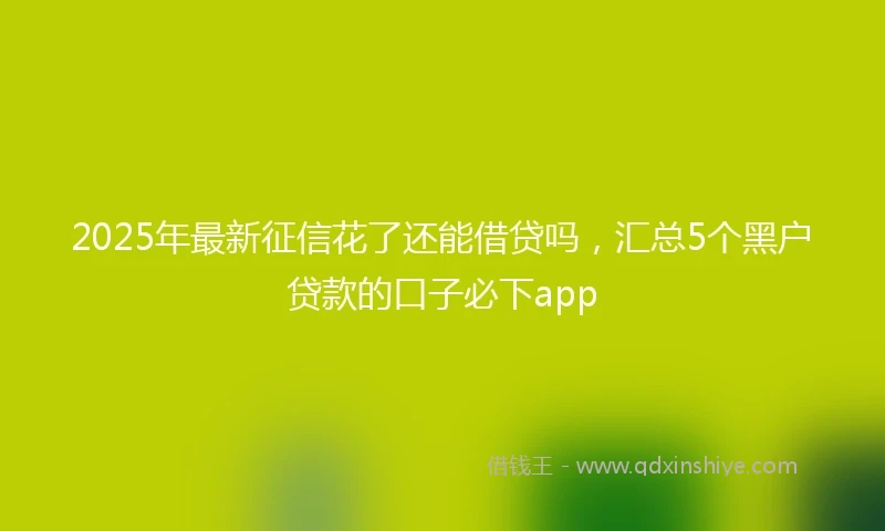 2025年最新征信花了还能借贷吗，汇总5个黑户贷款的口子必下app