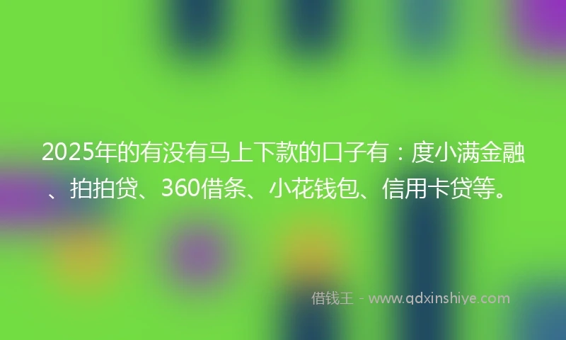 2025年的有没有马上下款的口子有：度小满金融、拍拍贷、360借条、小花钱包、信用卡贷等。