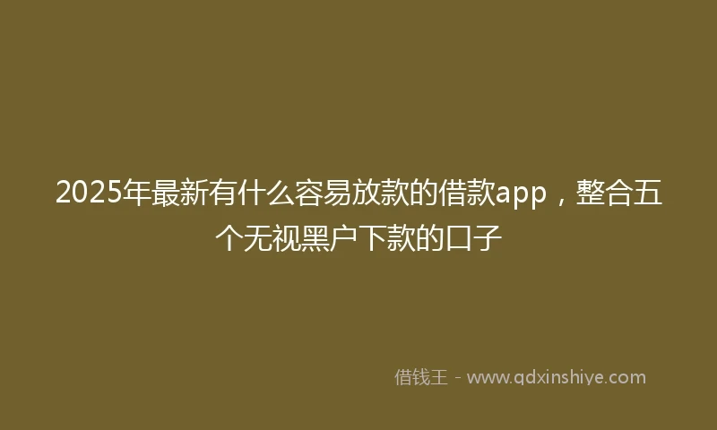 2025年最新有什么容易放款的借款app，整合五个无视黑户下款的口子